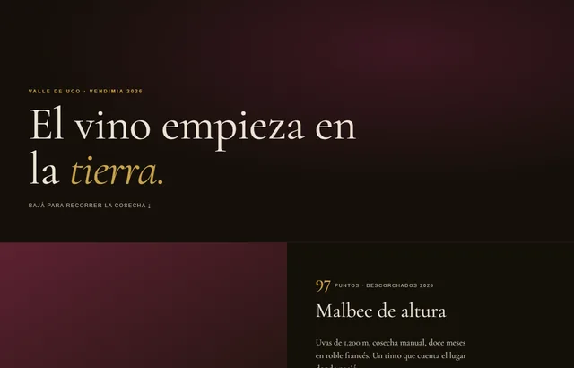 Modelo 06 — Immersive
